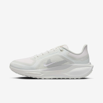 Nike Pegasus 41 GORE-TEX