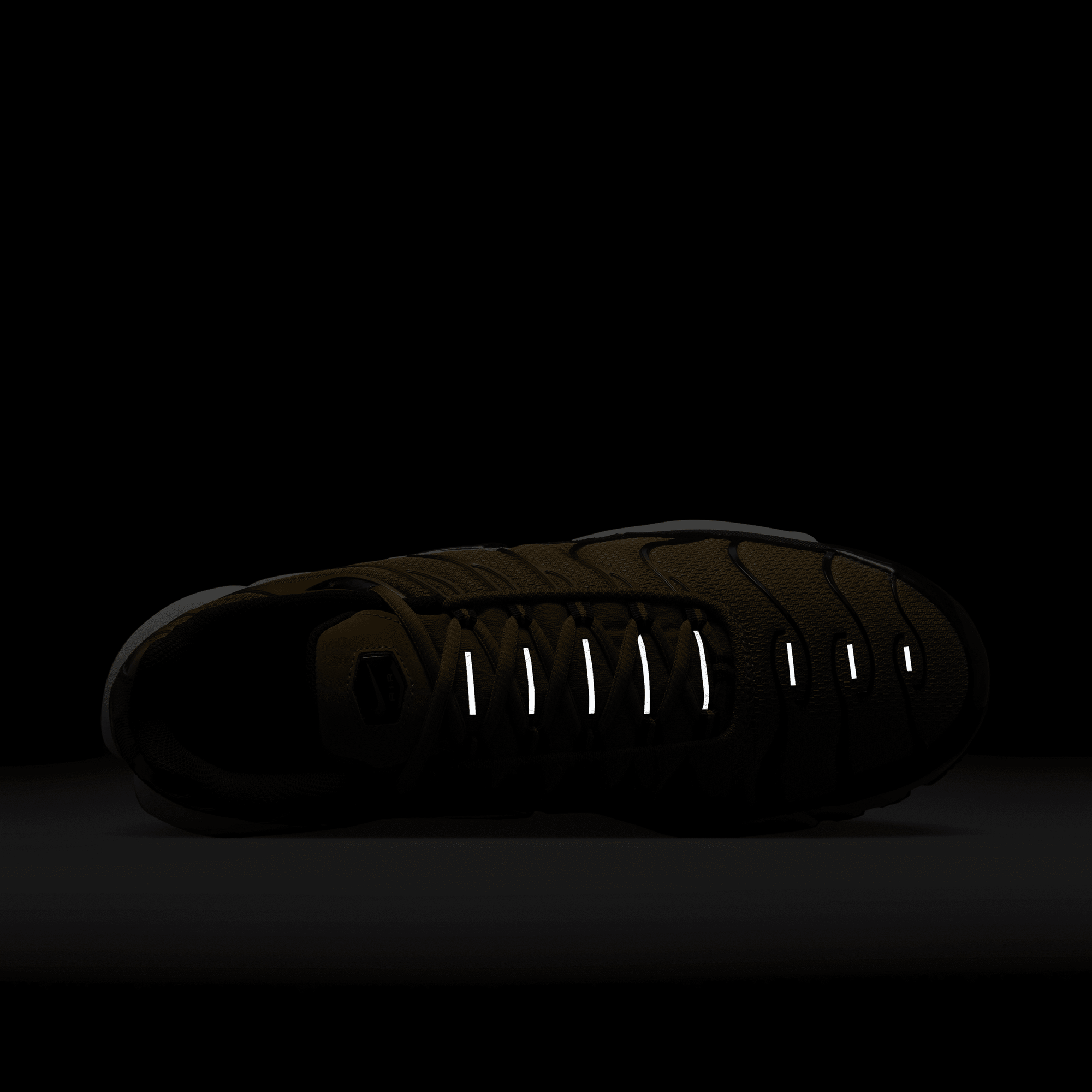 Nike Air Max Plus