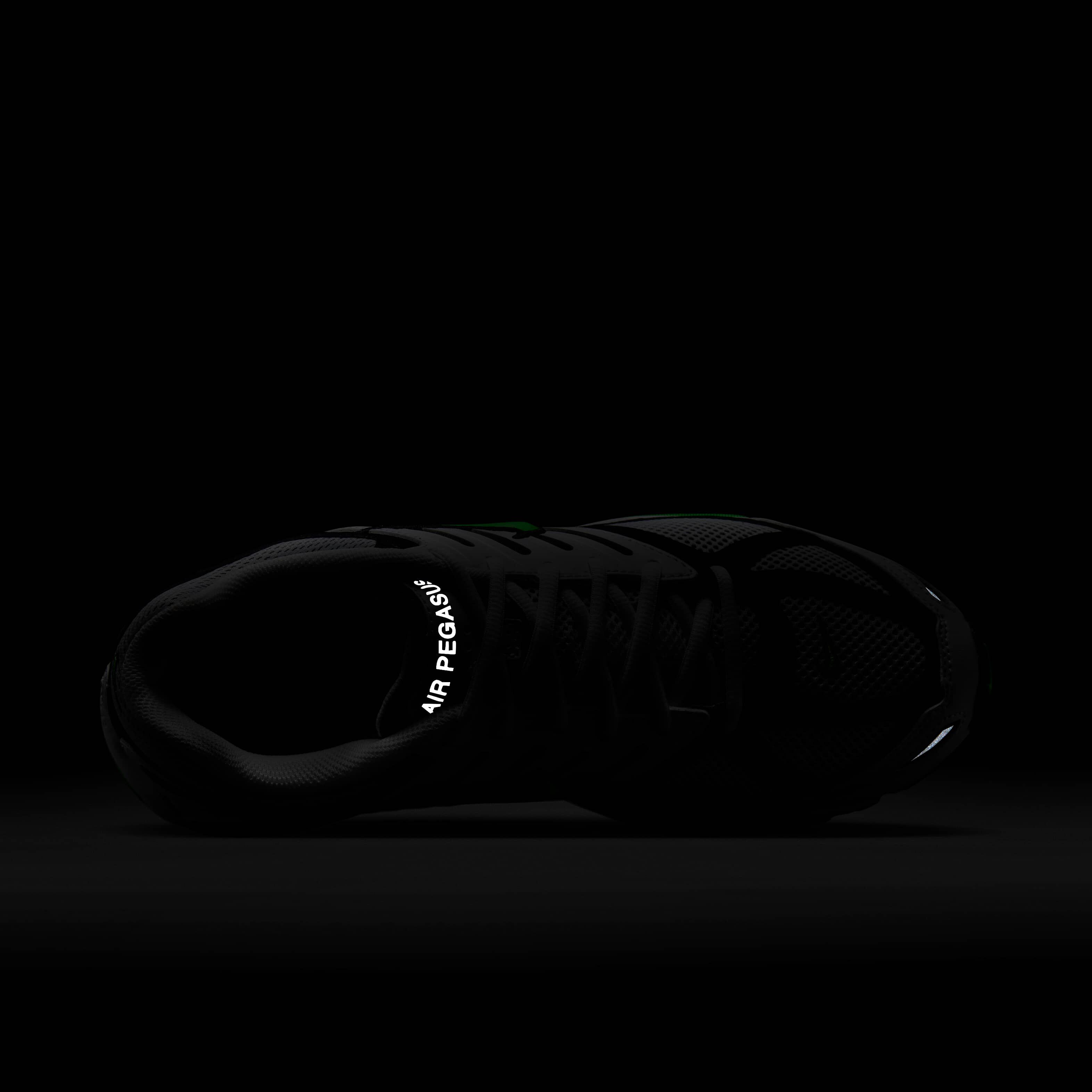 نايكي اير بيجاسوس 2005 image number 8