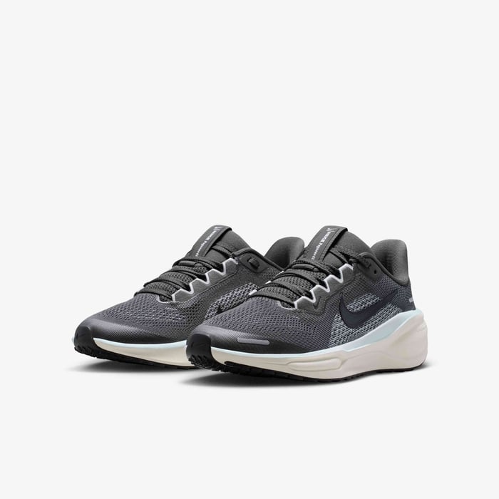 نايكي بيجاسوس 41 image number 4 نايكي بيجاسوس 41 image number 4