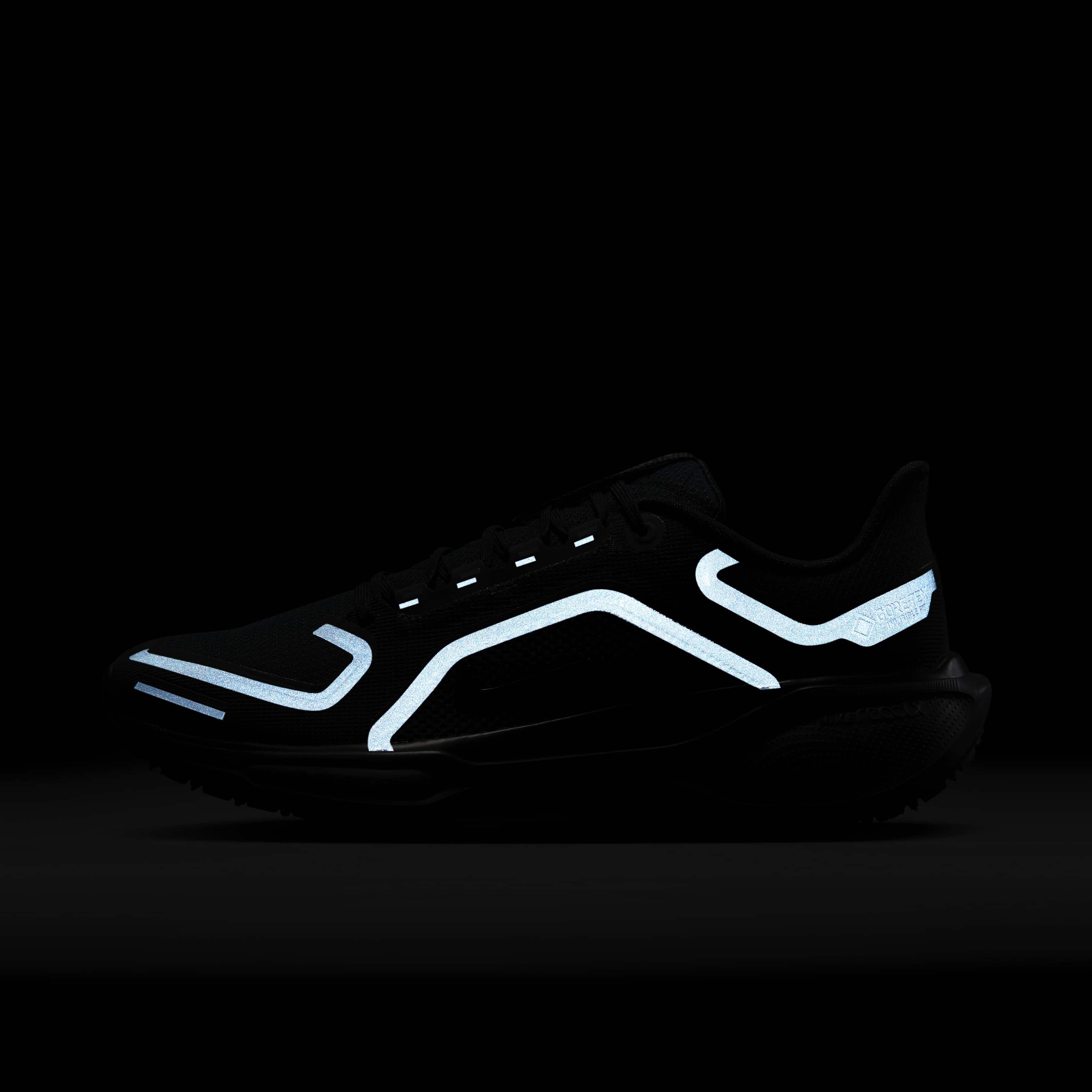 نايكي بيجاسوس 41 جور-تكس image number 10