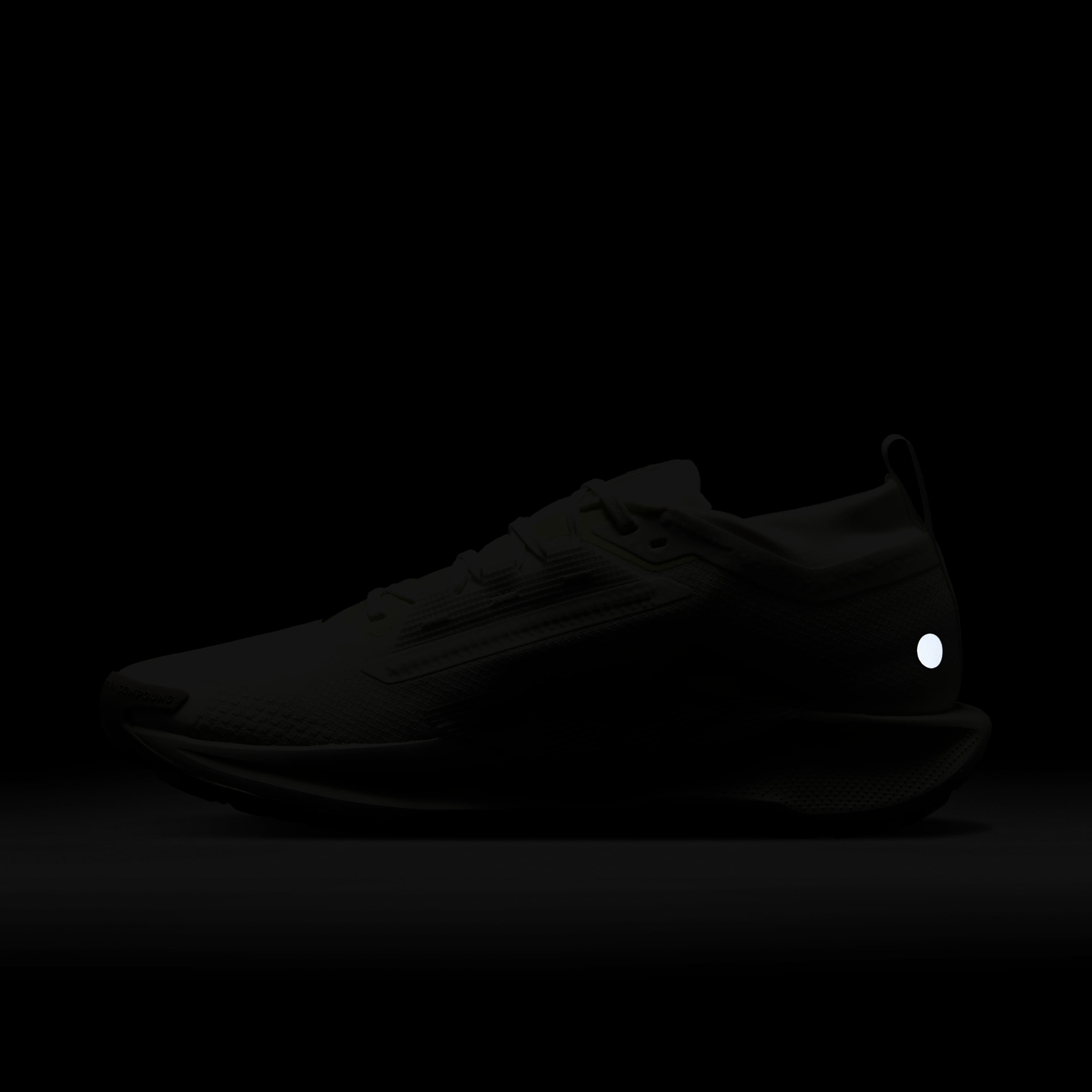 Nike Pegasus Trail 5 GORE-TEX image number 10