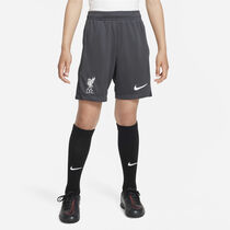 ليفربول F.C. أكاديمي برو