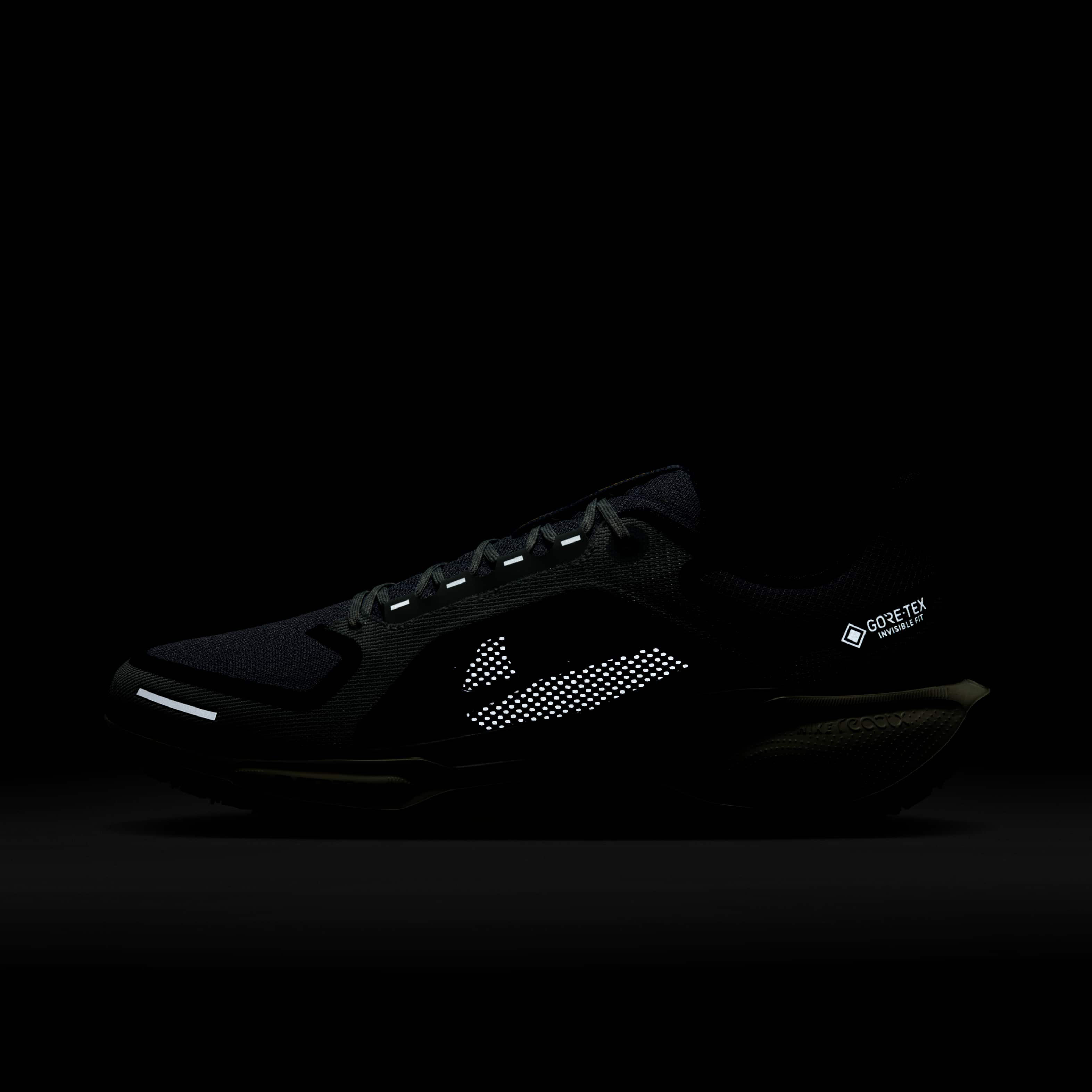 نايكي بيجاسوس 41 جور-تكس image number 10