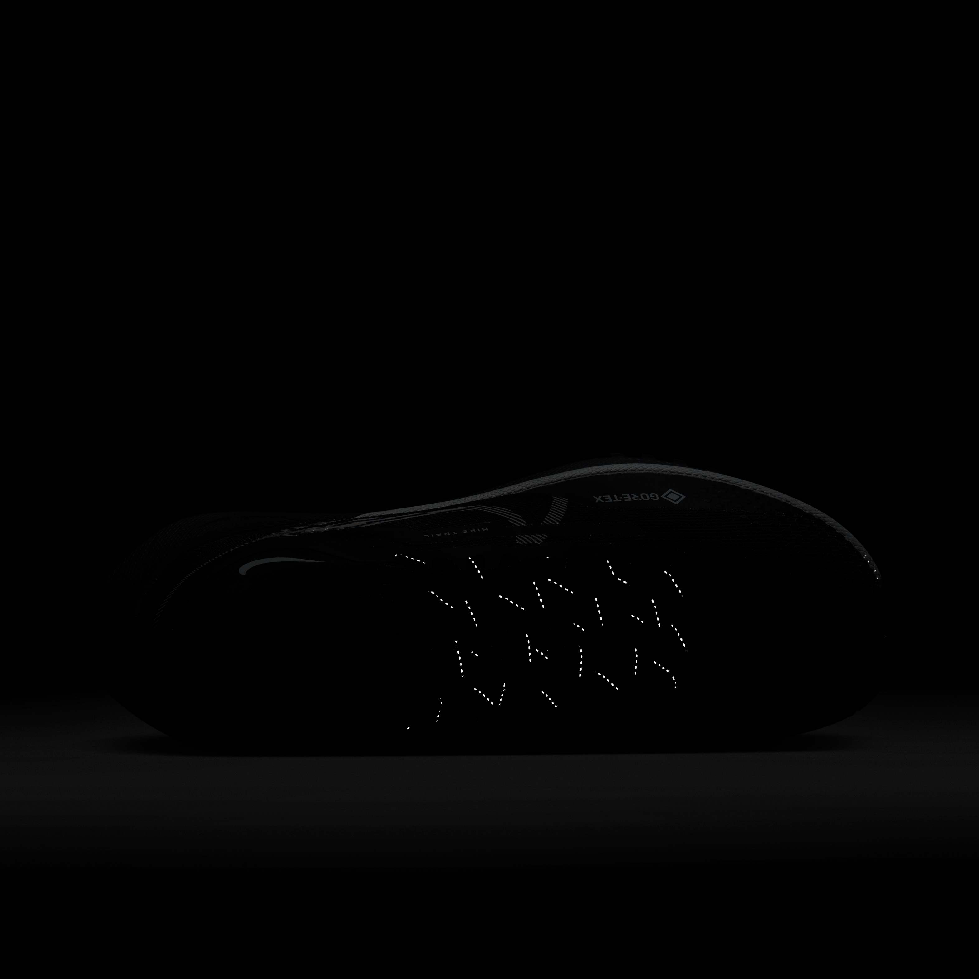 Nike Pegasus Trail 4 GORE-TEX image number 8