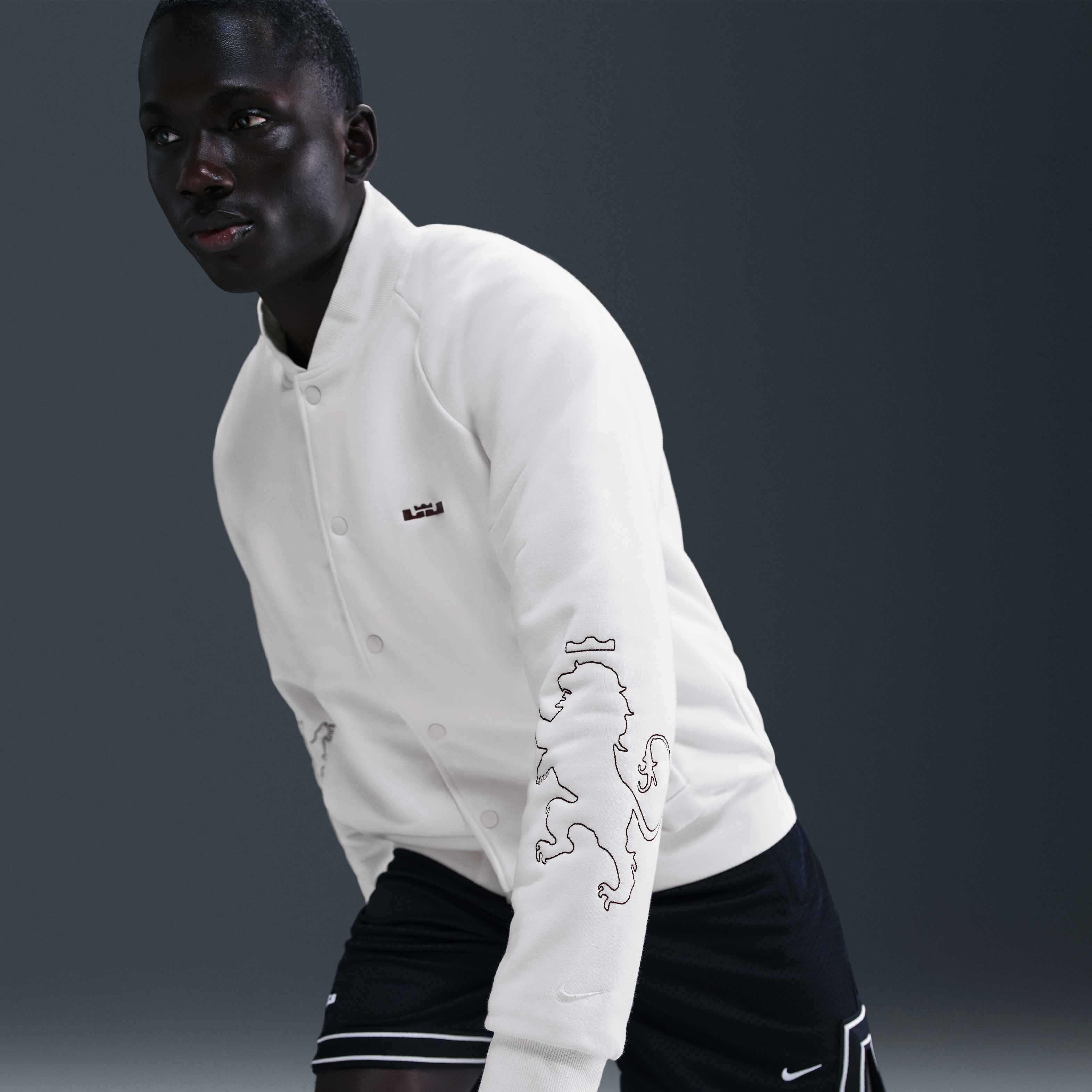 ليبرون ستاندرد ايشيو image number 2