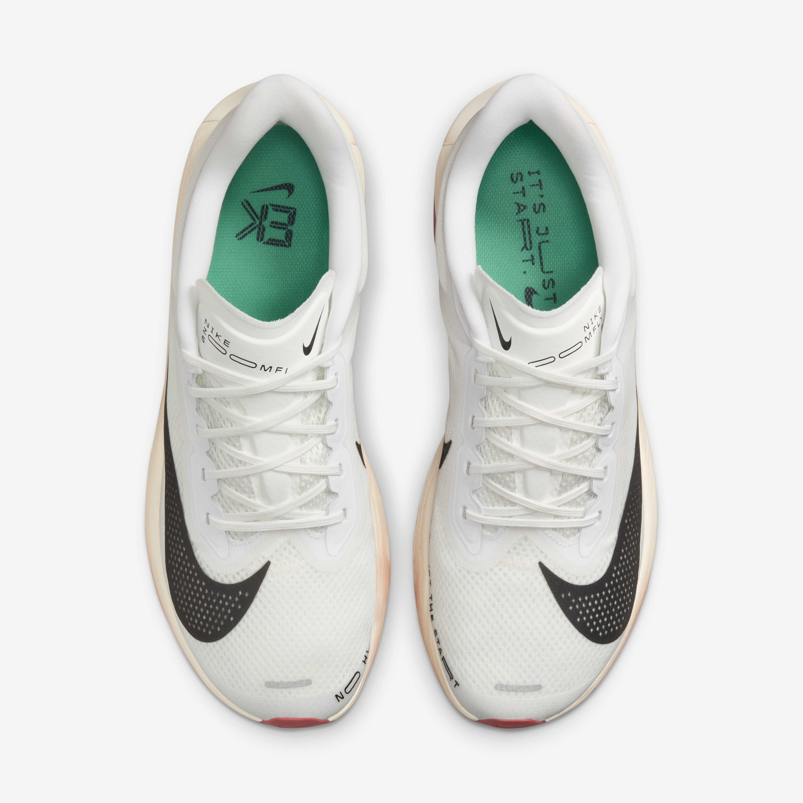 Eliud kipchoge shoes nike 2025