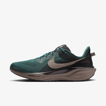 Nike Air Zoom Pegasus 41 SP