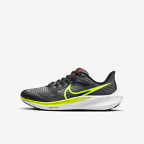 Nike Air Zoom Pegasus 39