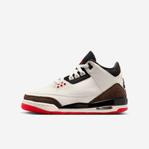 Air Jordan 3 Retro 'True Blue'