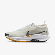 Nike Pegasus Trail 5 GORE-TEX