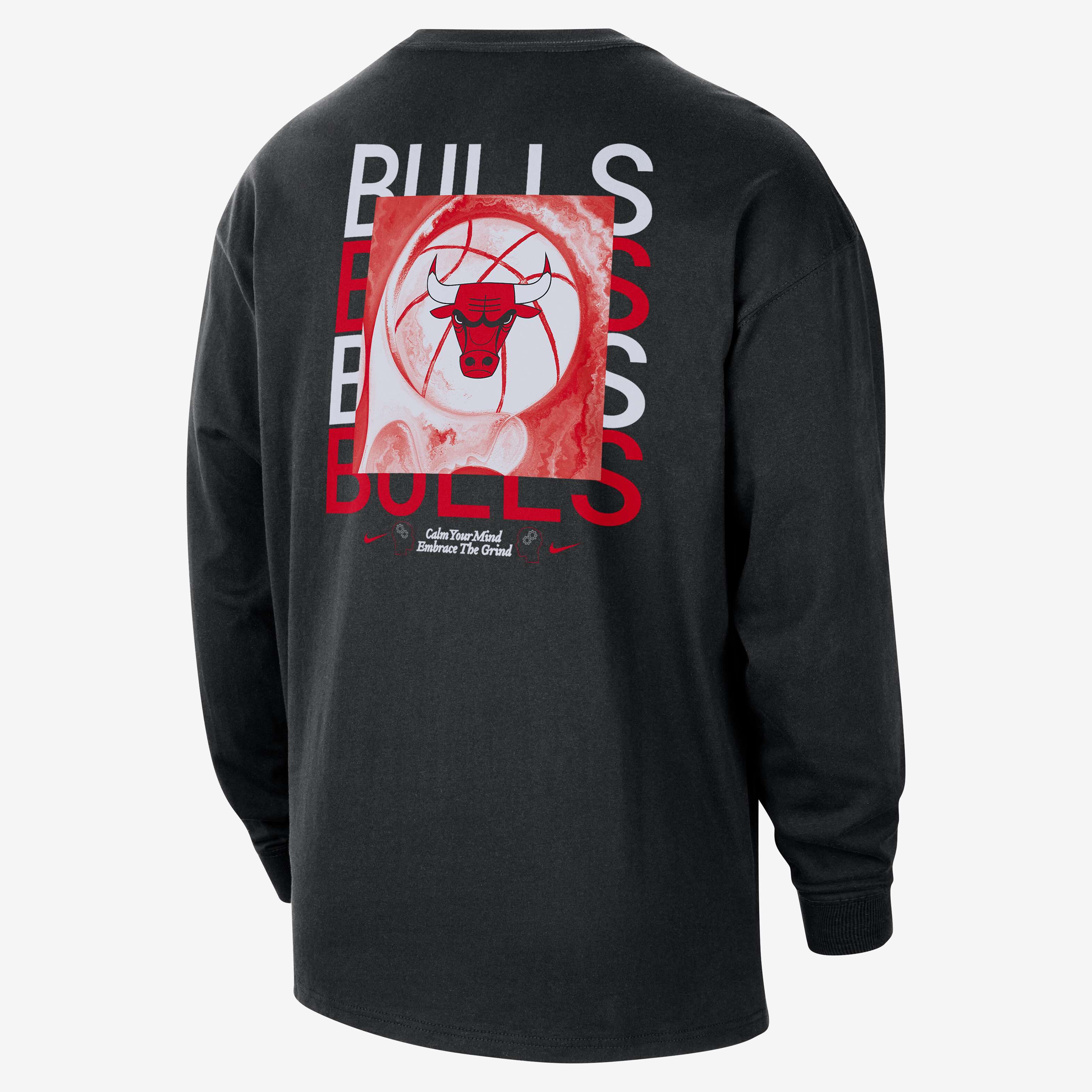 Chicago Bulls Courtside image number 1