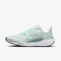 Nike Pegasus 41