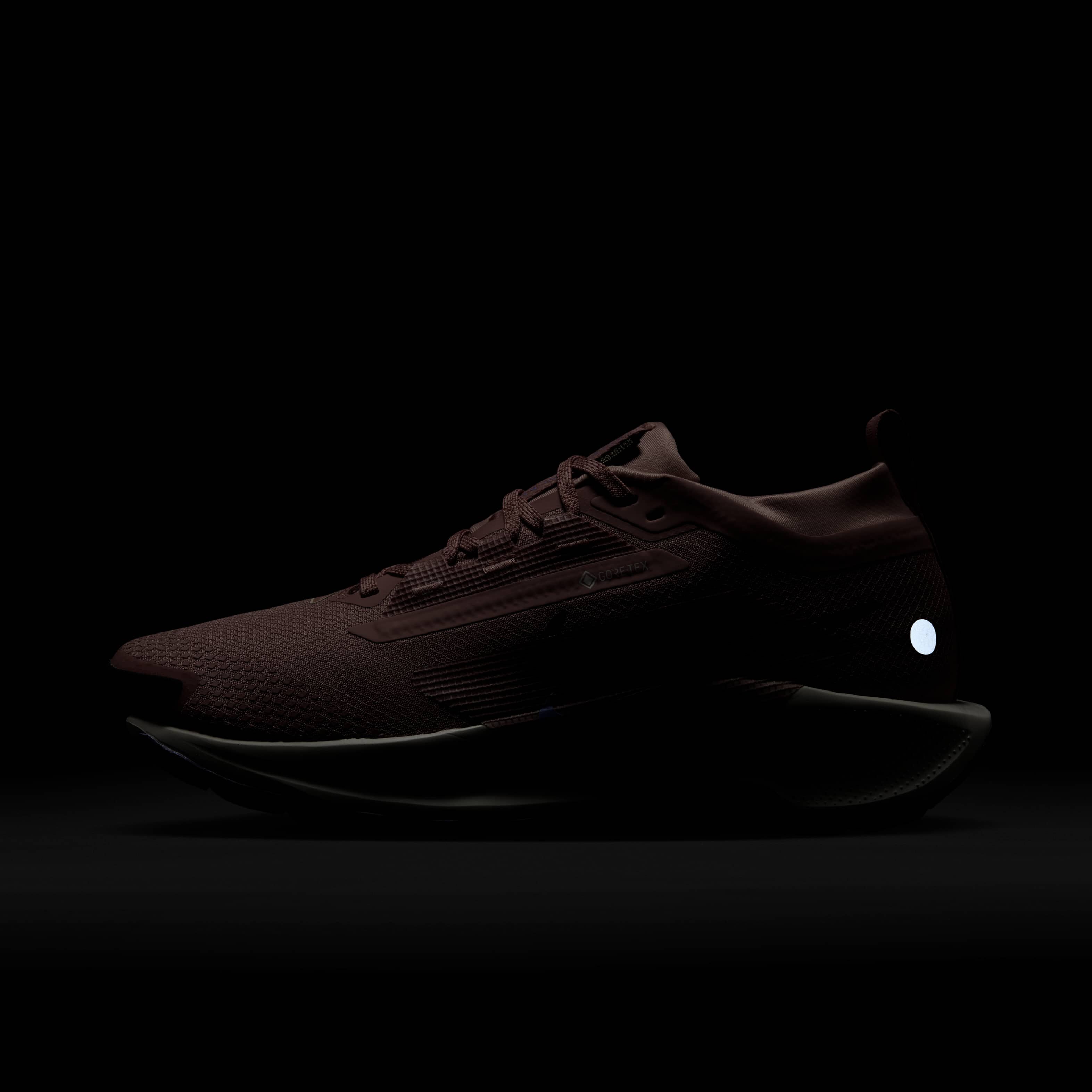 نايكي بيجاسوس تريل 5 جور-تكس image number 9