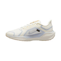 Nike Pegasus 41 GORE-TEX