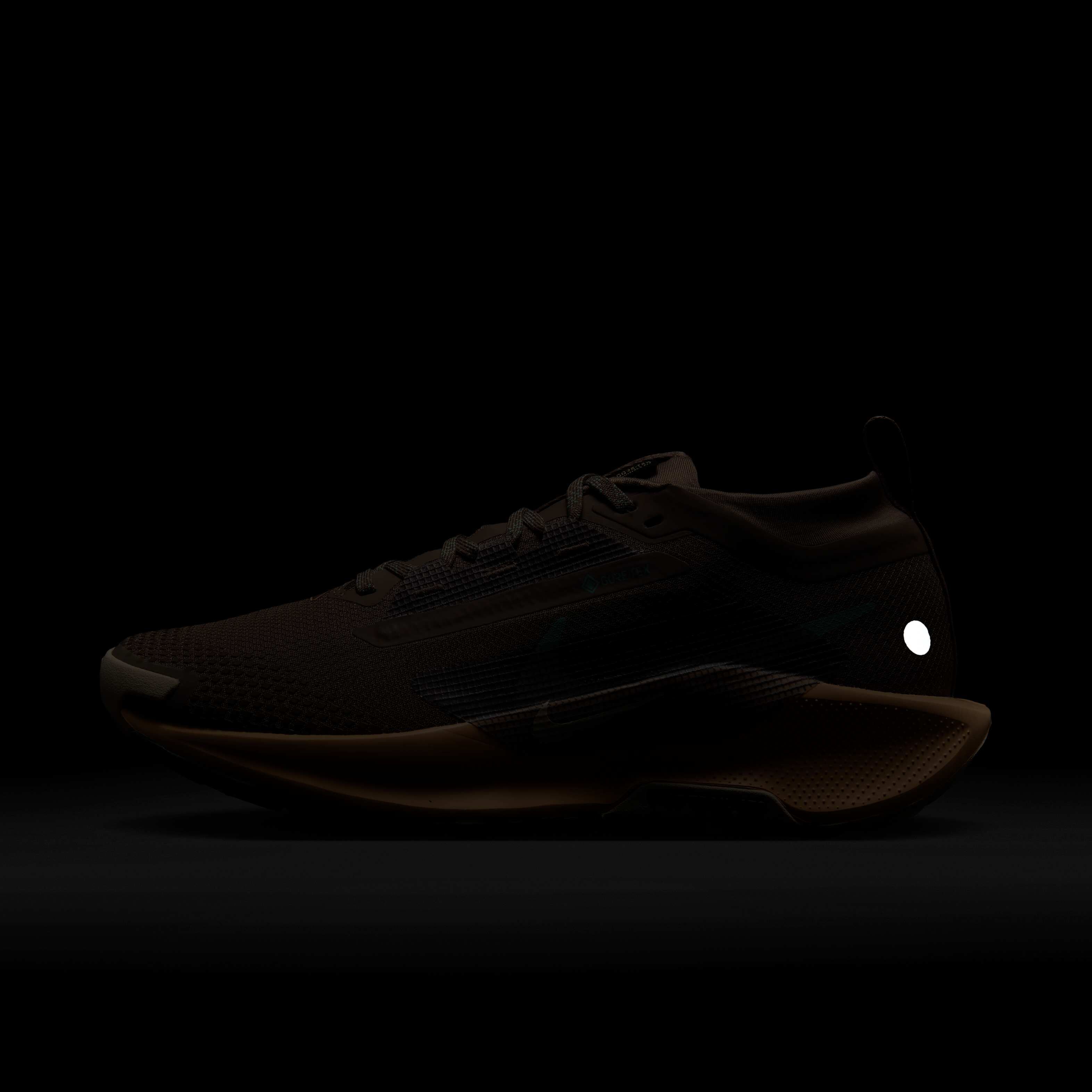 Nike Pegasus Trail 5 GORE-TEX image number 9