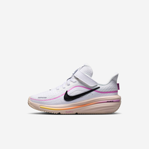 Nike Winflo 12