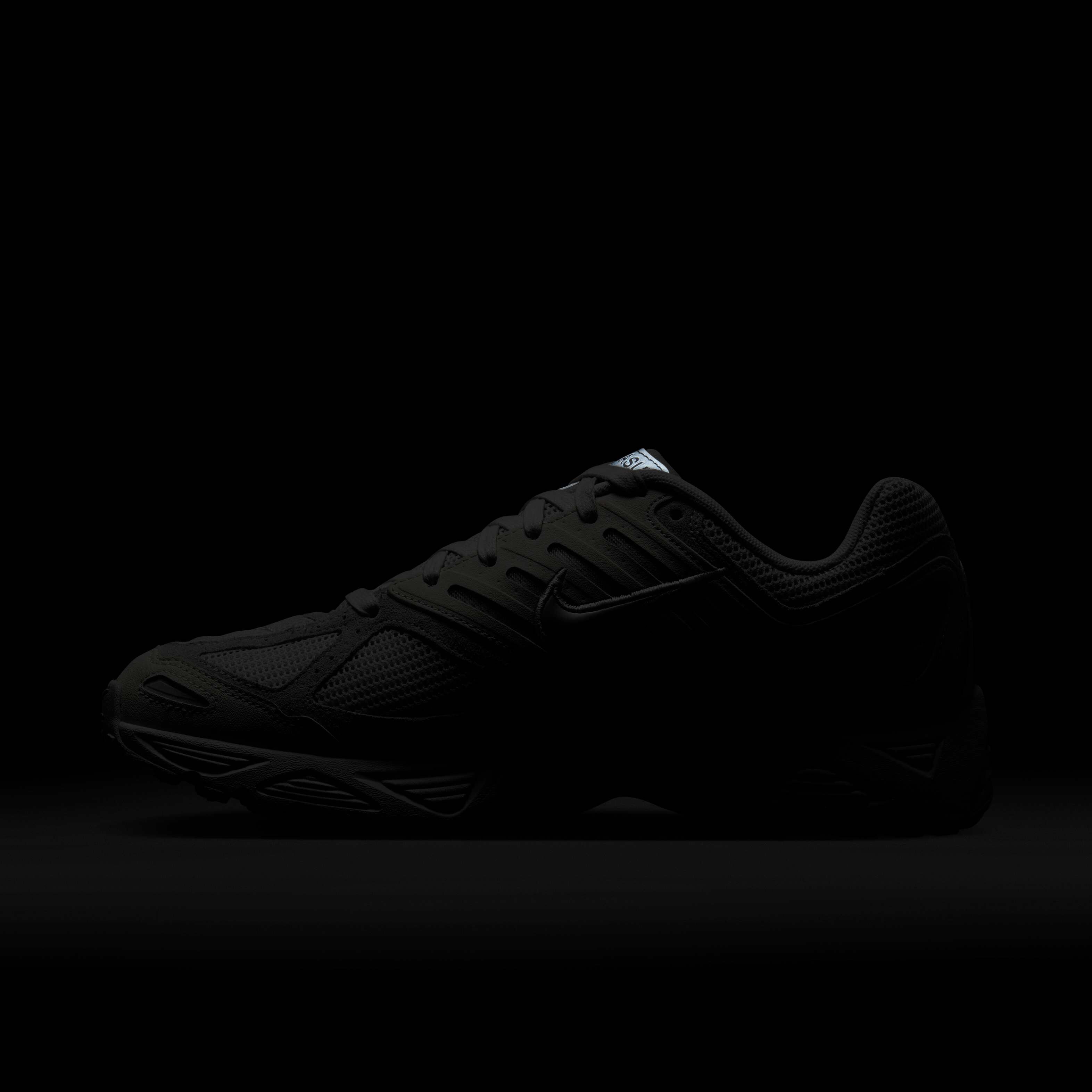 Nike Air Pegasus 2005 SE image number 11