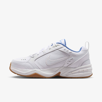 Nike Air Monarch IV