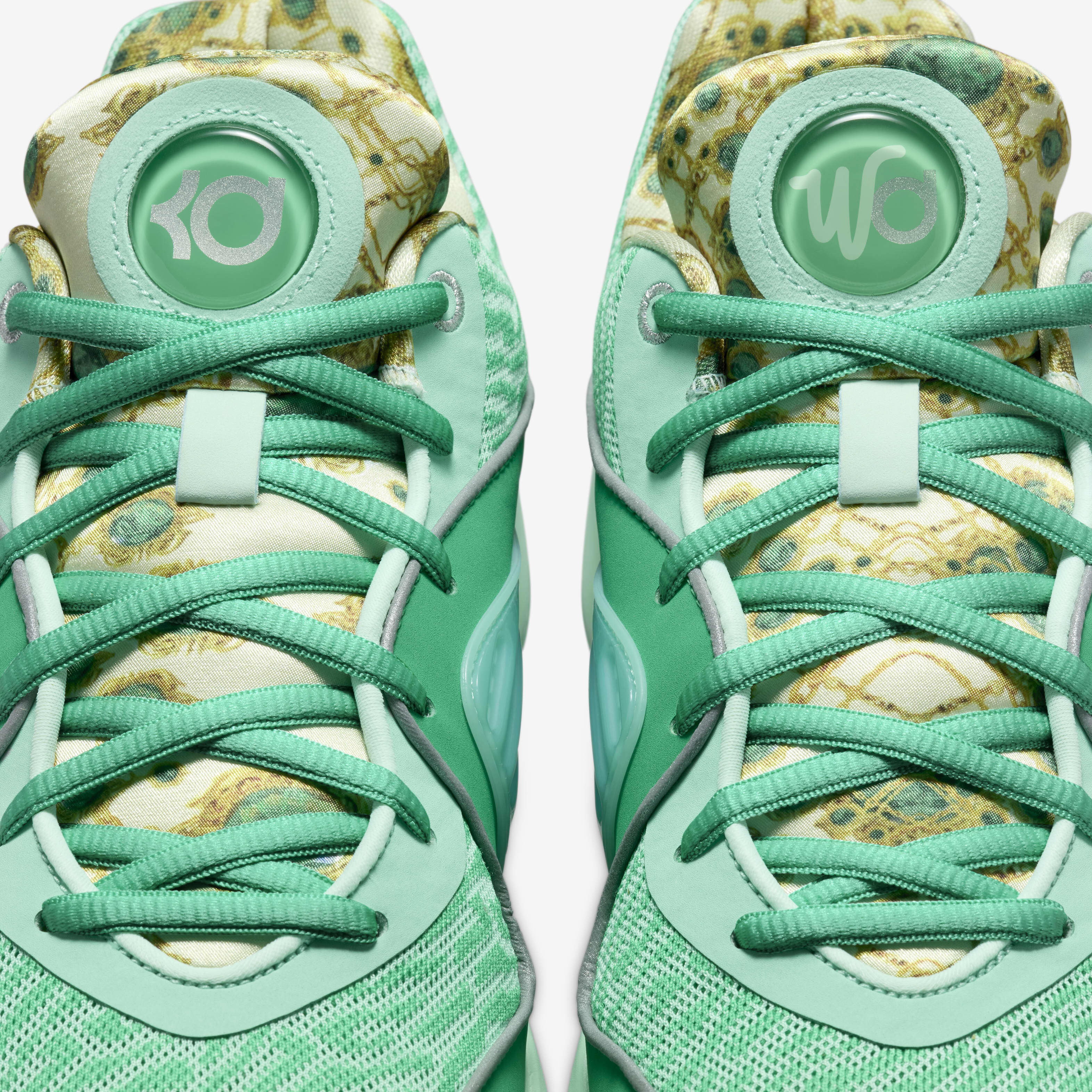 KD16 image number 12