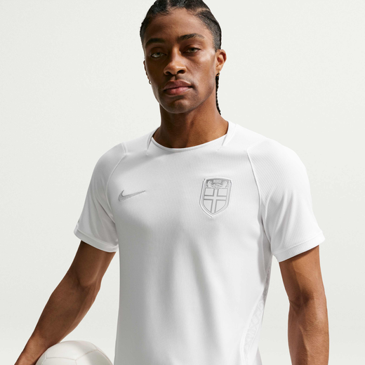 Norway-Nike, Norway 2026 Stadium Third, Men's Nike Dri-FIT Football Replica Shirt