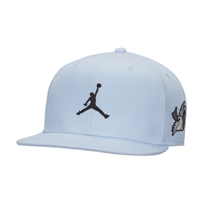Shop Jordan Pro Cap Adjustable Hat Nike UAE