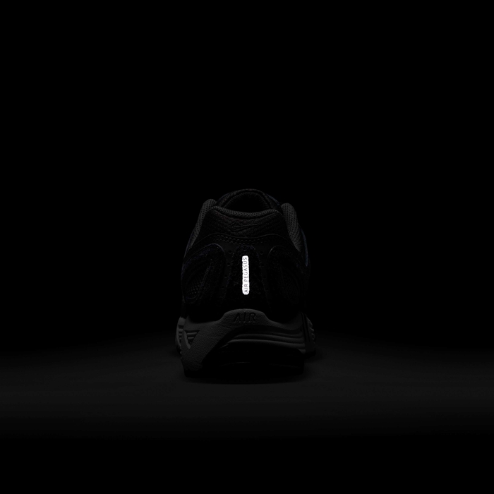 نايكي اير بيجاسوس 2005 image number 8 نايكي اير بيجاسوس 2005 image number 8