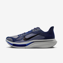 Nike Pegasus Plus 2