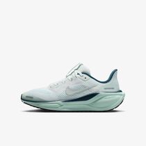 Nike Pegasus 41