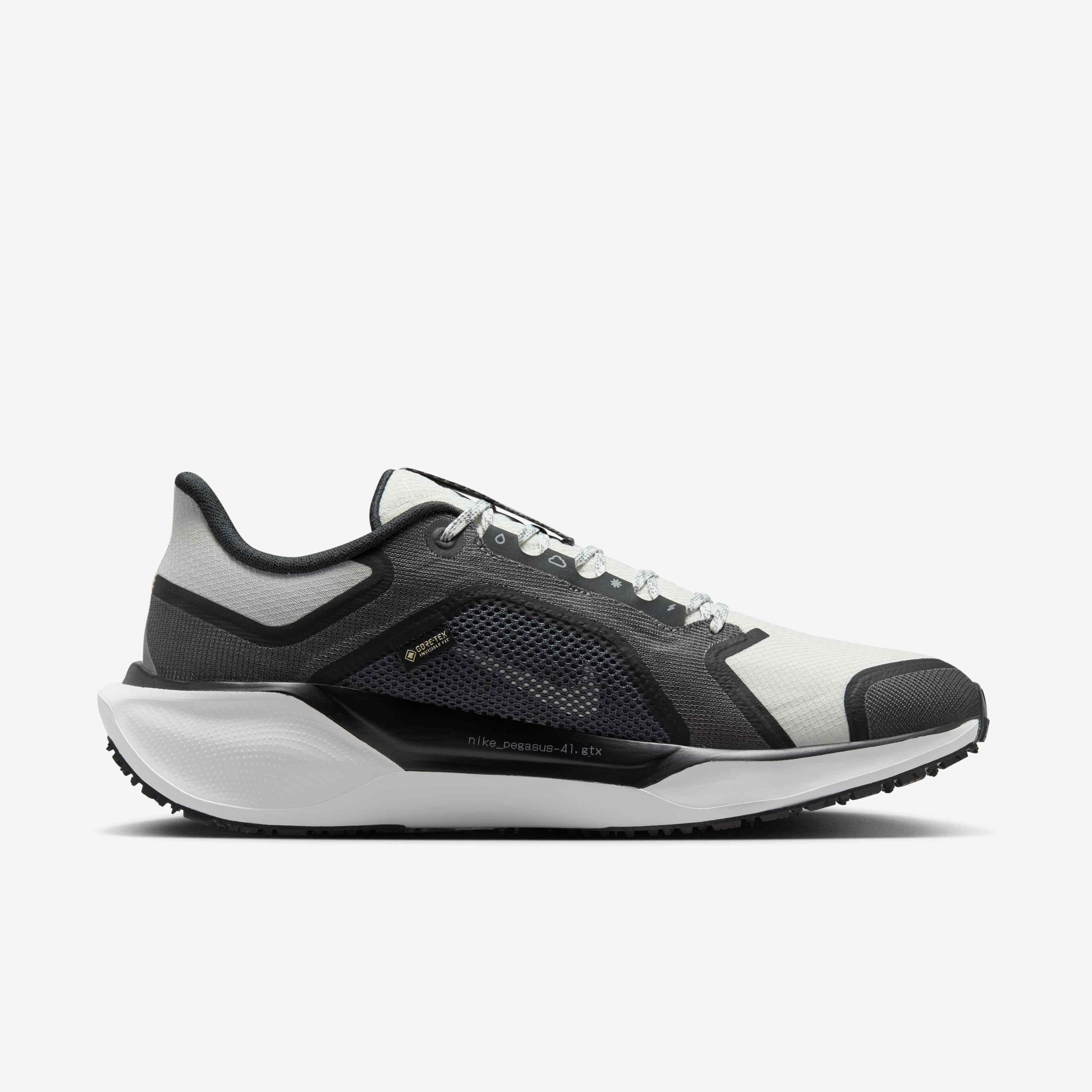 Nike Pegasus 41 GORE-TEX image number 2