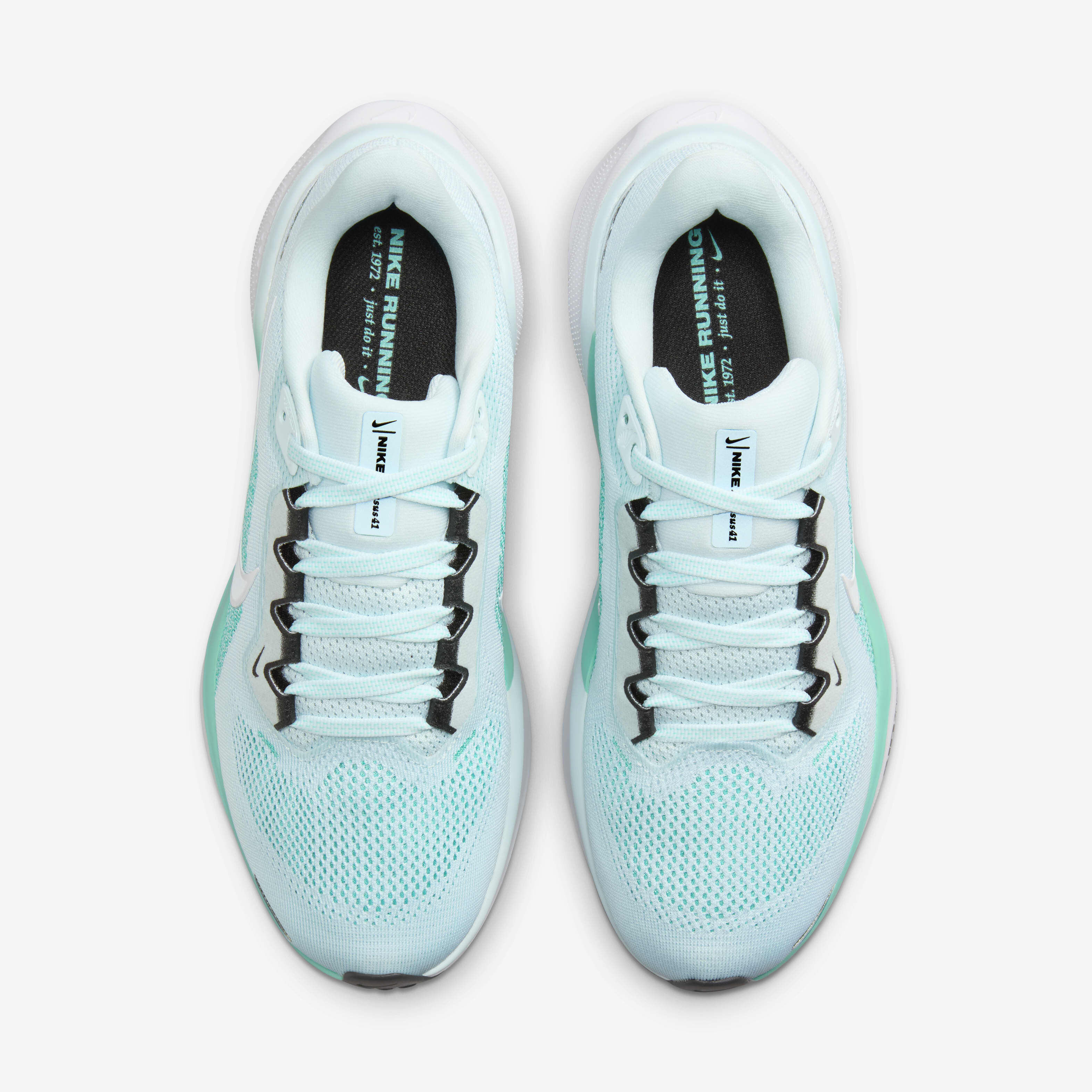 نايكي بيجاسوس 41 image number 3