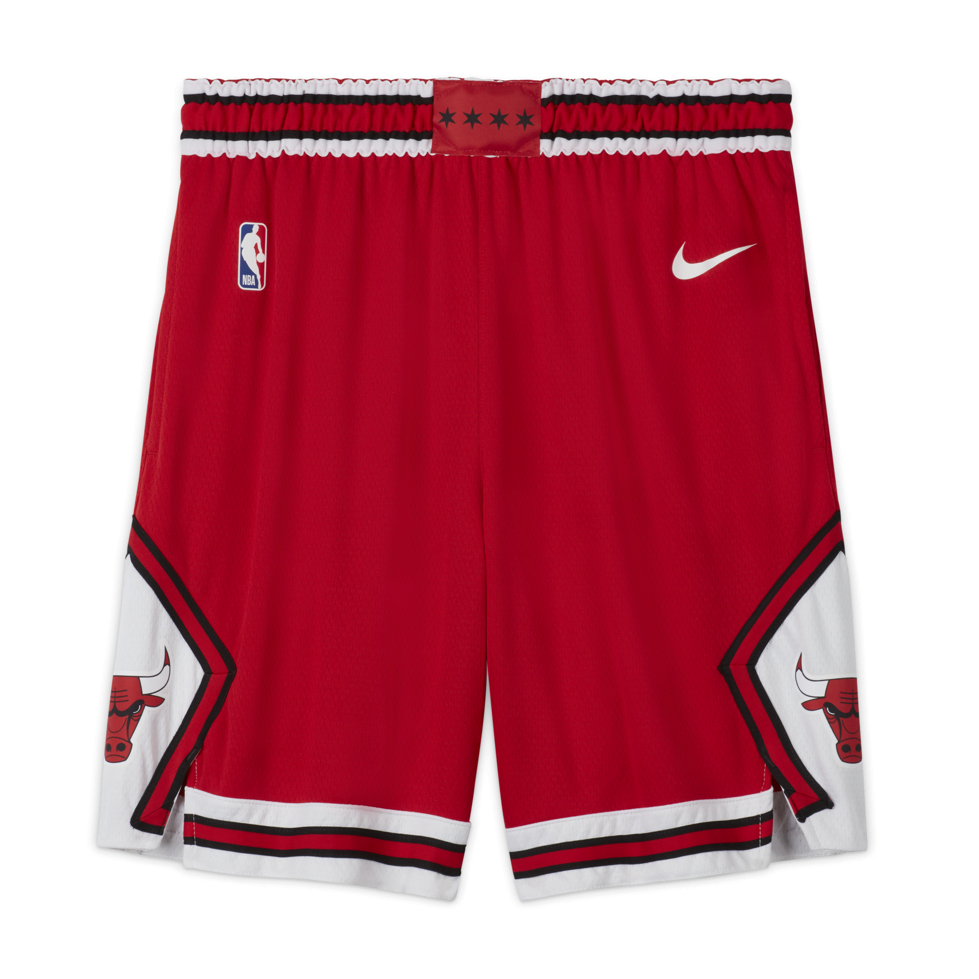 Chicago Bulls Icon Edition