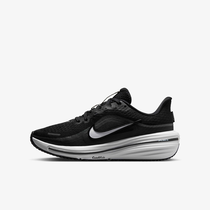 Nike Winflo 12