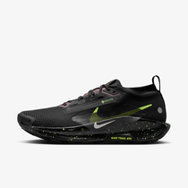 Nike Pegasus Trail 5 GORE-TEX