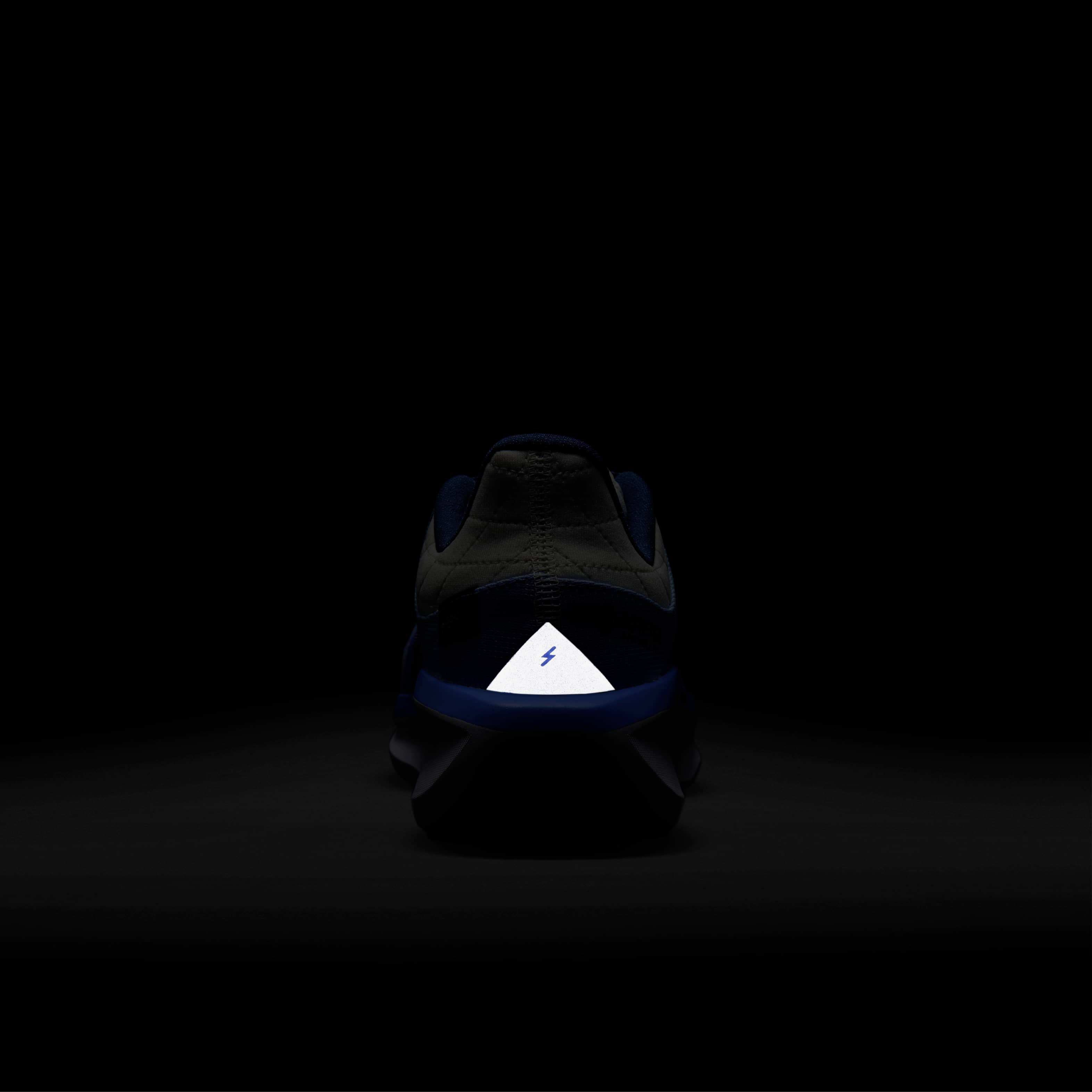 Nike Winflo 11 GORE-TEX image number 8