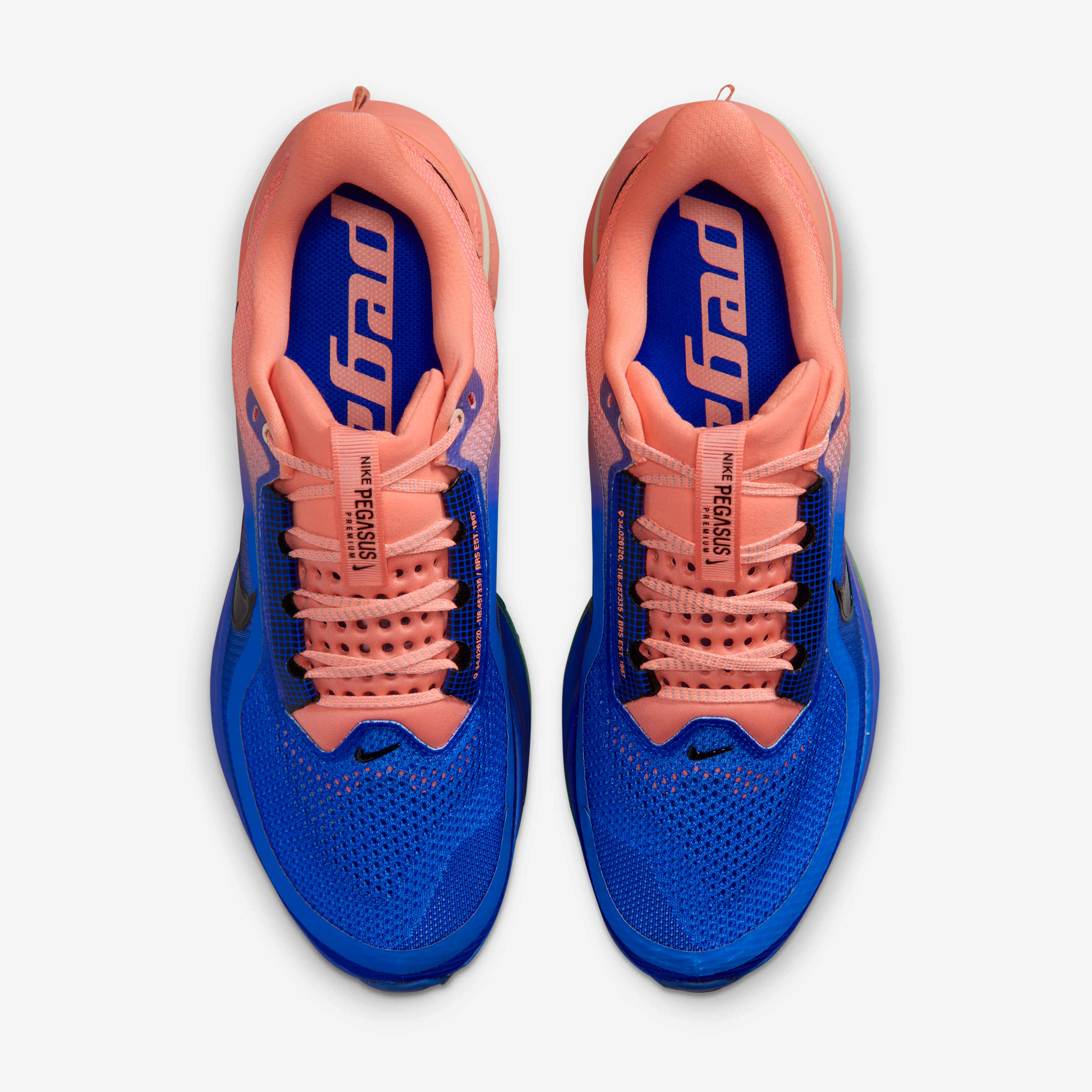 Nike Pegasus Premium image number 3