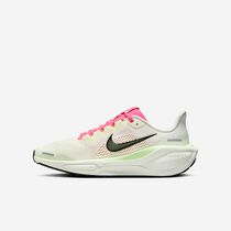 Nike Pegasus 41