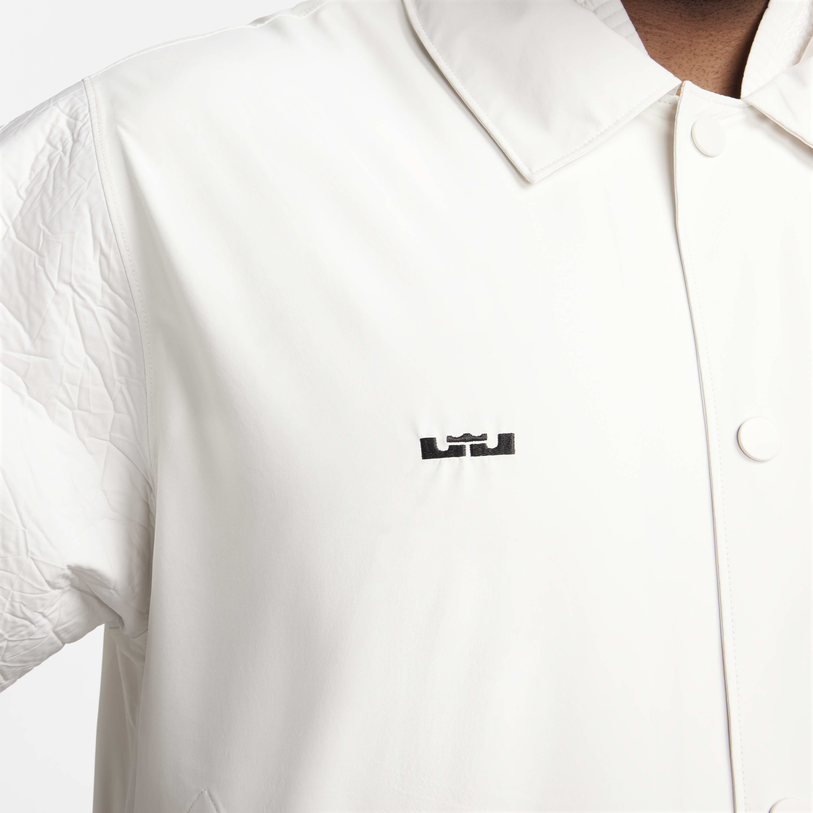 LeBron image number 12