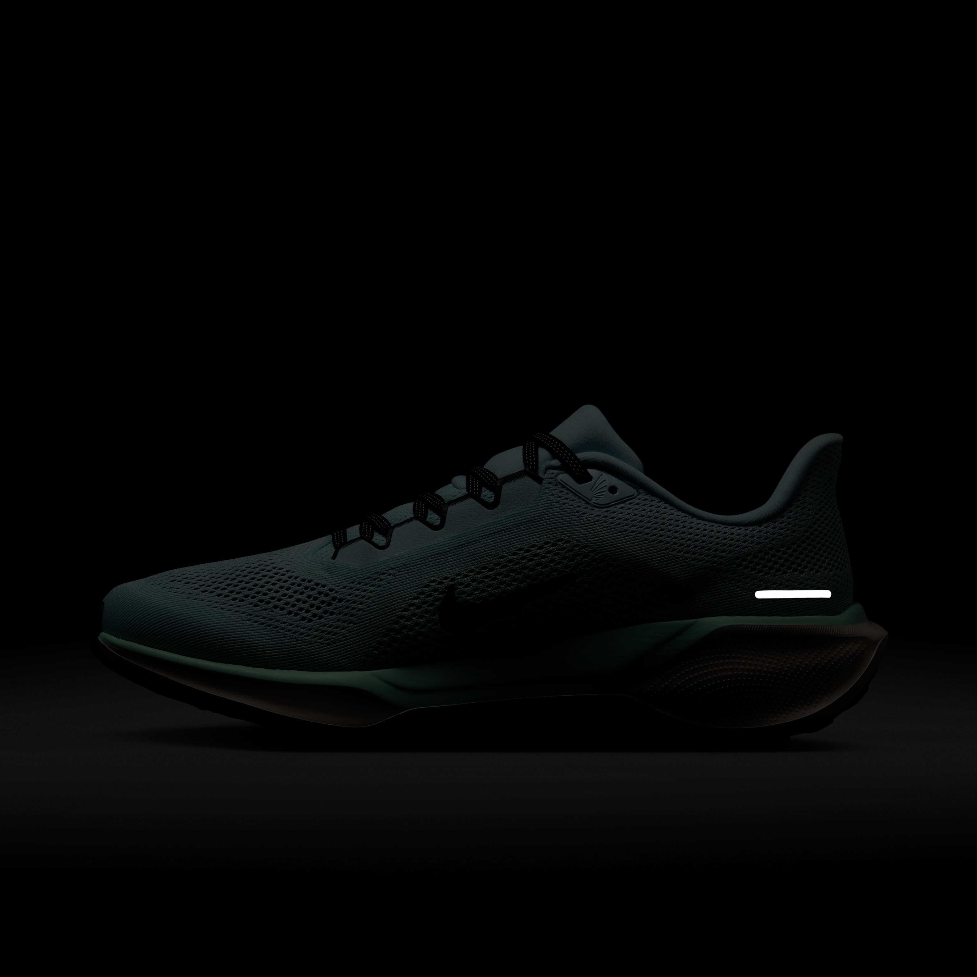 نايكي بيجاسوس 41 image number 11