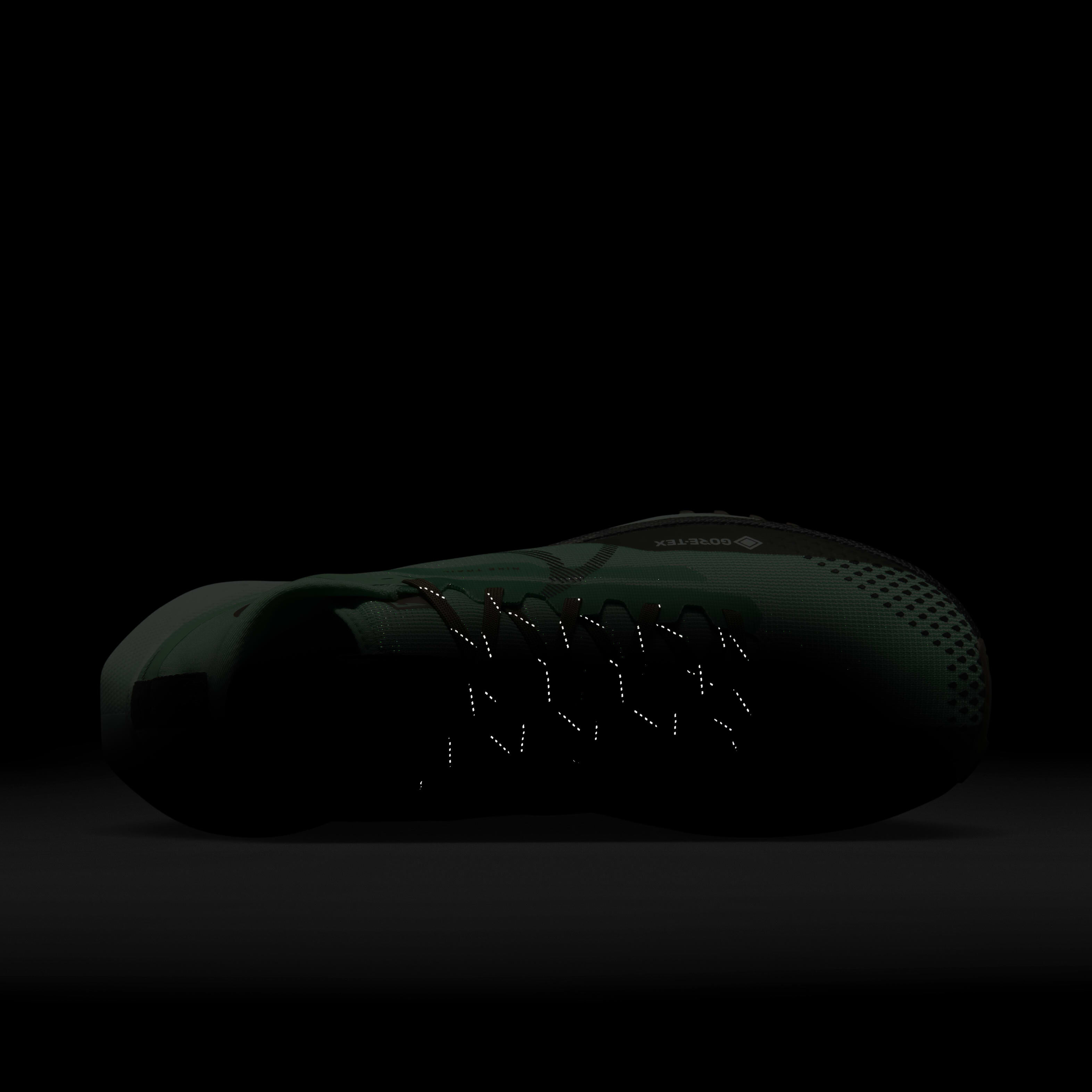 Nike Pegasus Trail 4 GORE-TEX image number 8