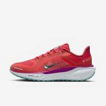 Nike Pegasus 41 GORE-TEX