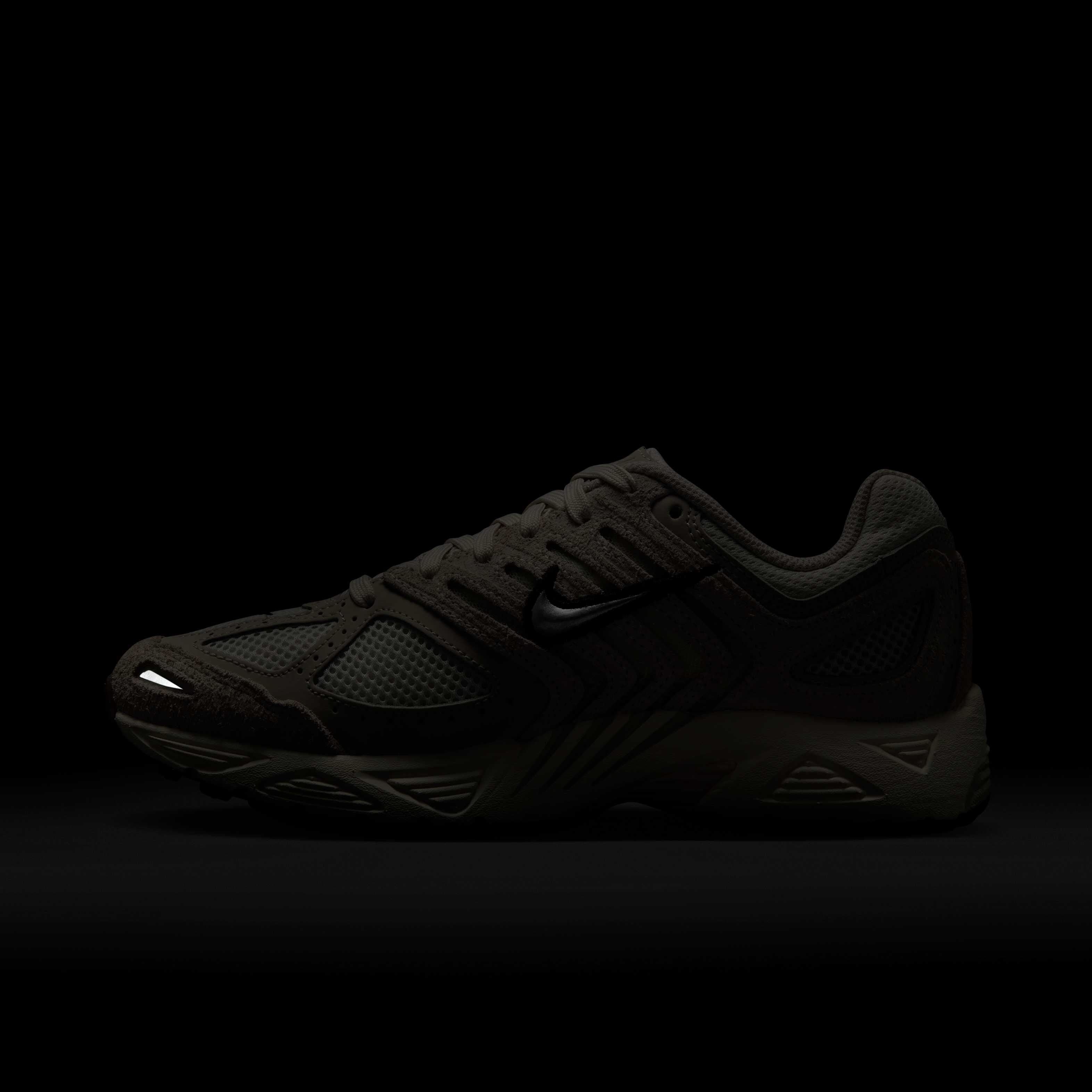 نايكي اير بيجاسوس 2005 image number 11