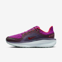 Nike Winflo 11 GORE-TEX SE