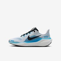 Nike Pegasus 41