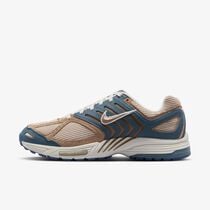 Nike Air Pegasus 2005 SE