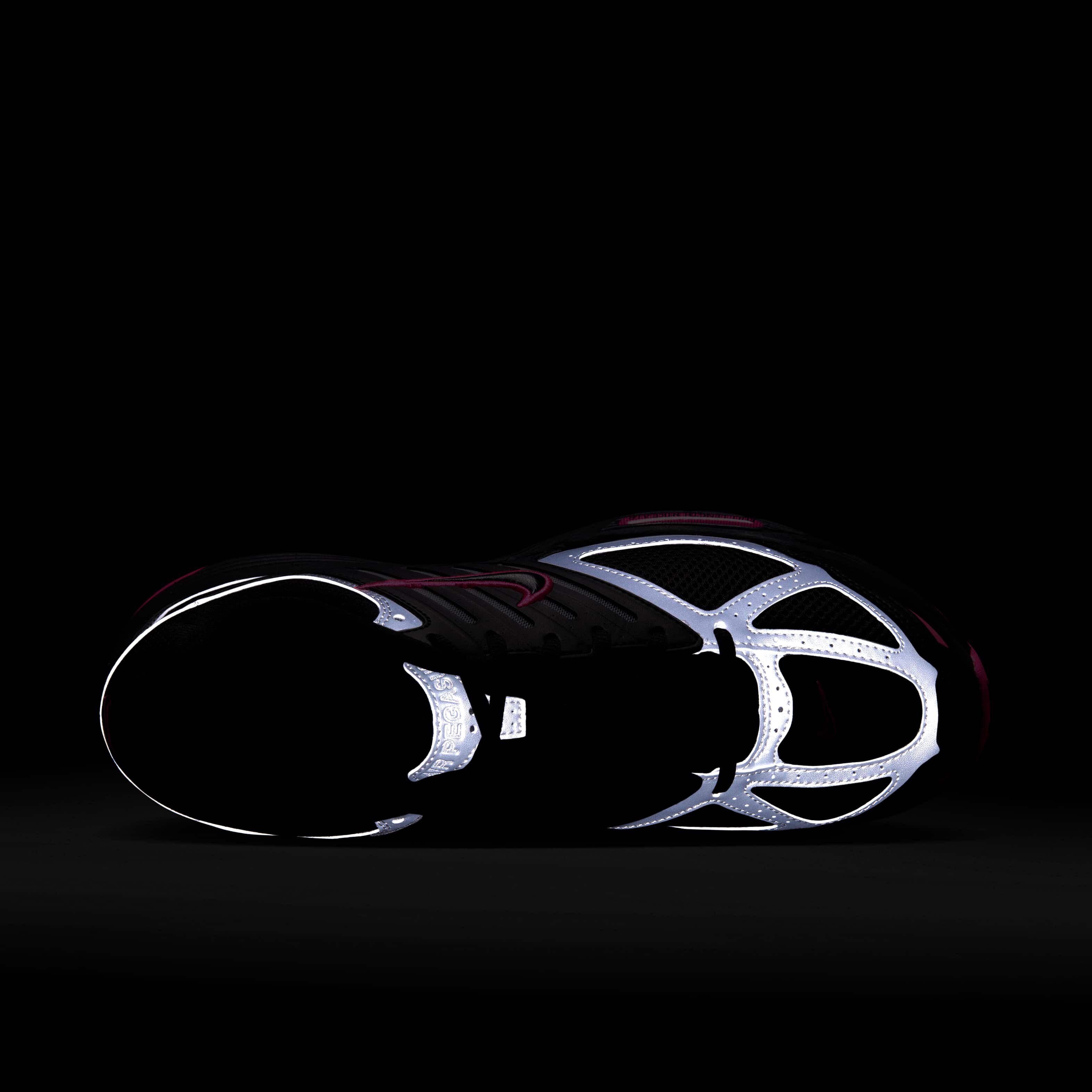 نايكي اير بيجاسوس 2005 image number 8