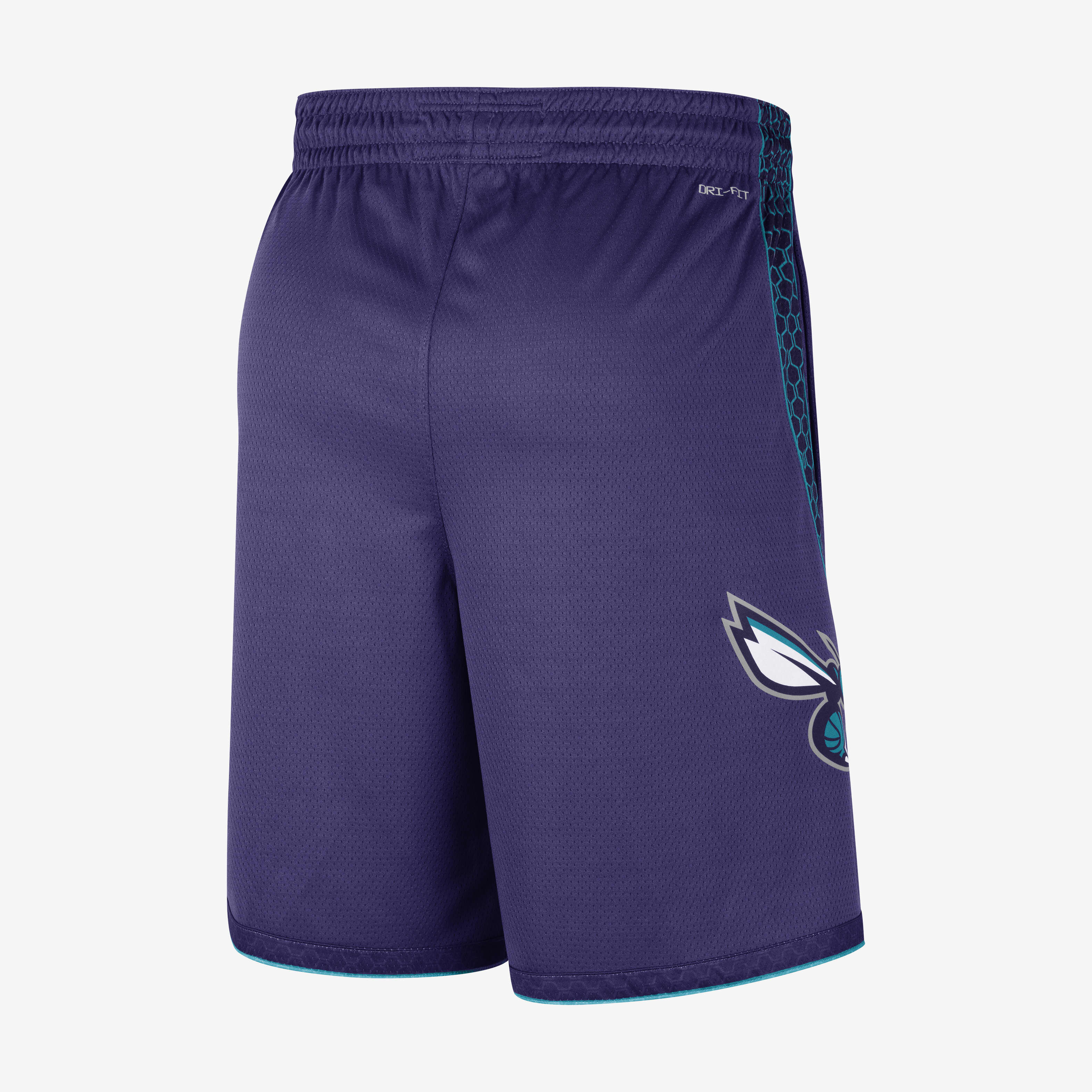 Charlotte hornets nike shorts 2025