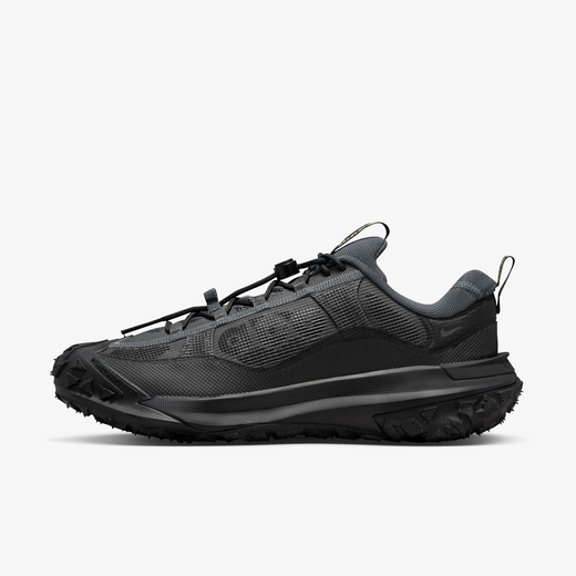 Nike ACG Mountain Fly 2 Low GORE-TEX