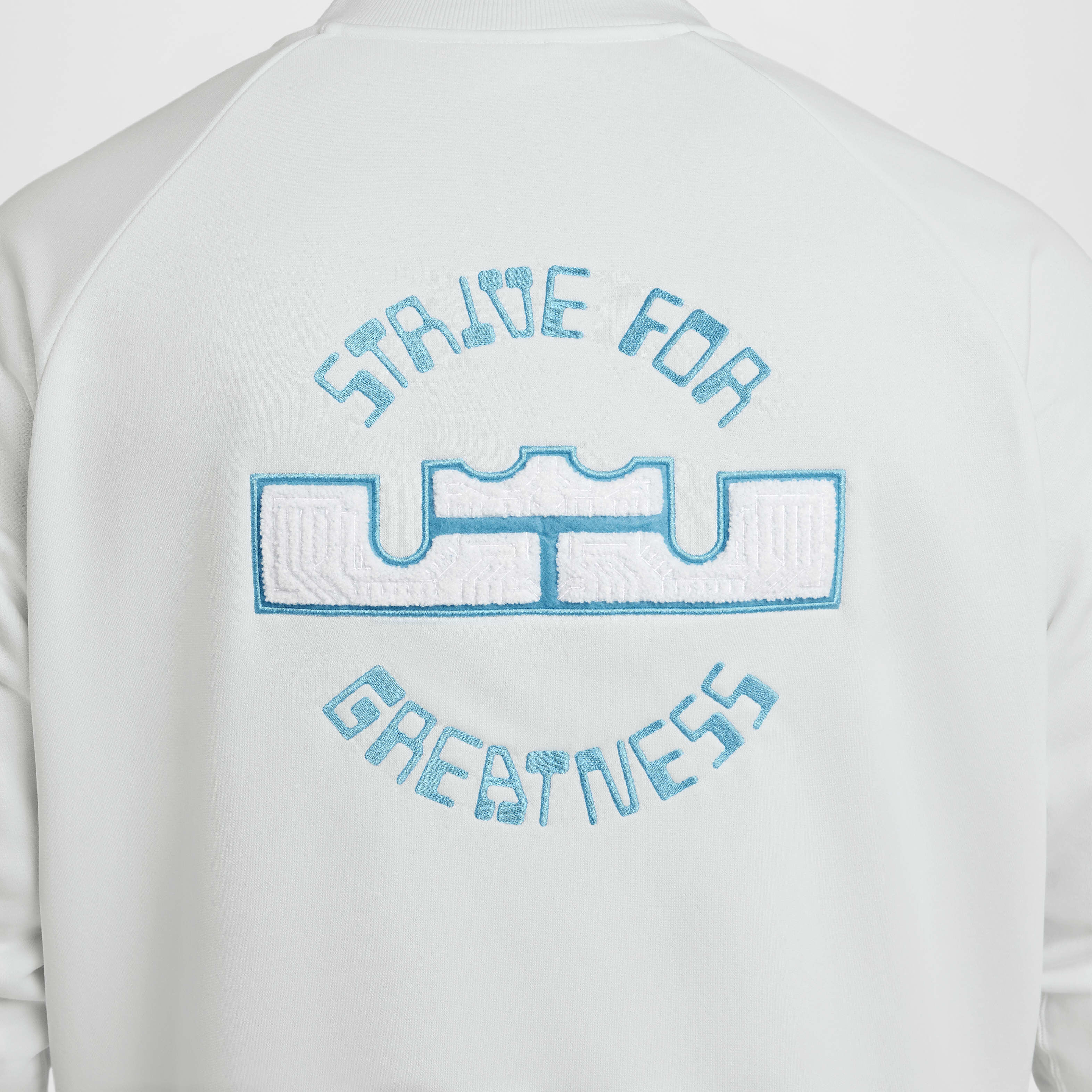 LeBron Standard Issue image number 19