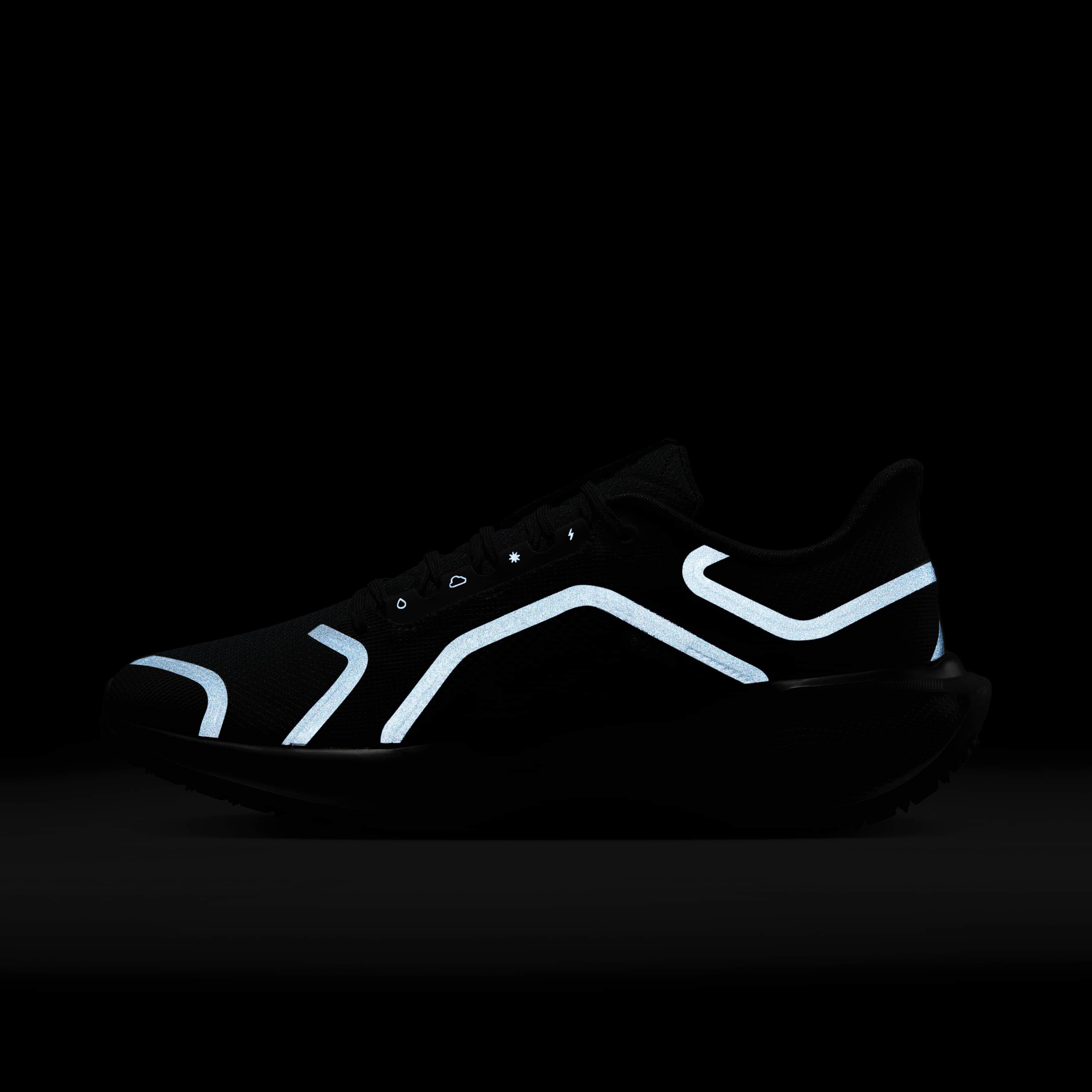 نايكي بيجاسوس 41 جور-تكس image number 11